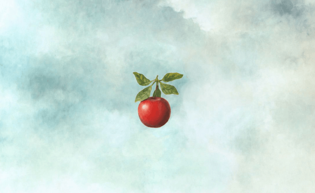 LA MANZANA QUE ME REGALÓ ANNE&nbsp;CARSON